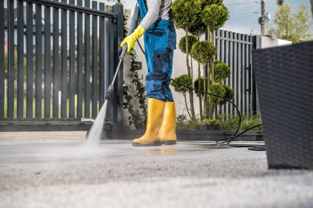 Best Deck Cleaning Services  in Forest Meadows, CA